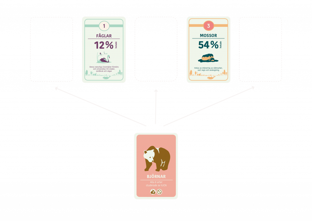 Så här spelas Artkoll - ett lärorikt spel om biologisk mångfald. Bilden visar spelupplägget.
