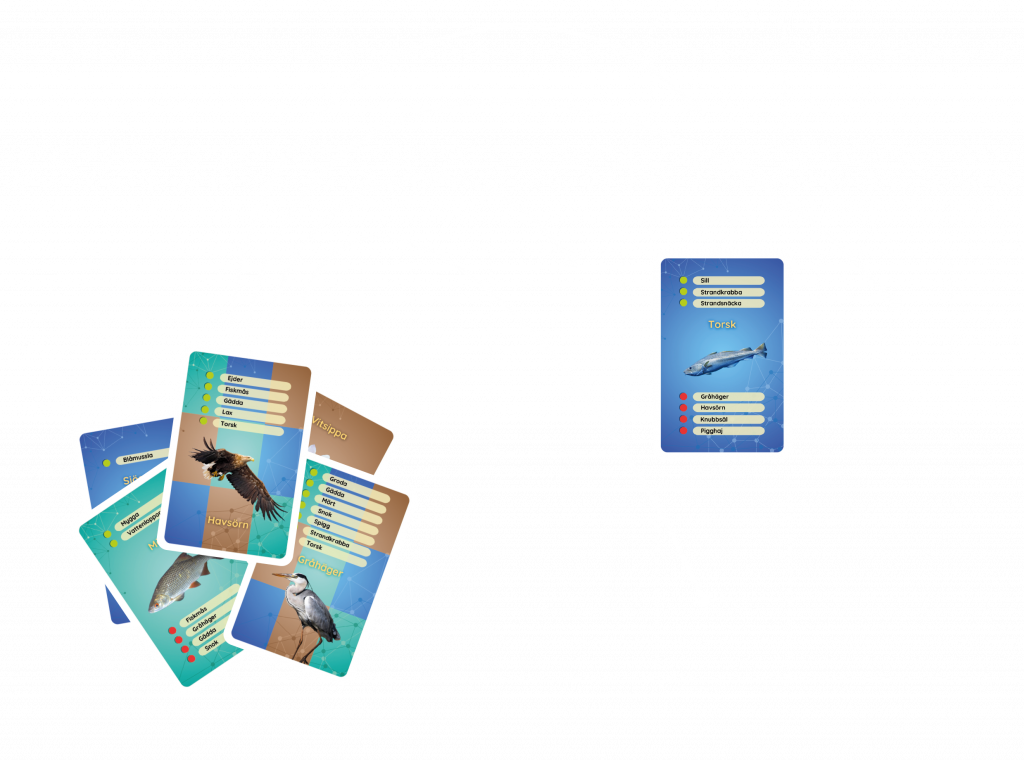Bild som visar regler för hur kortspelet Ekosystemkoll fungerar.