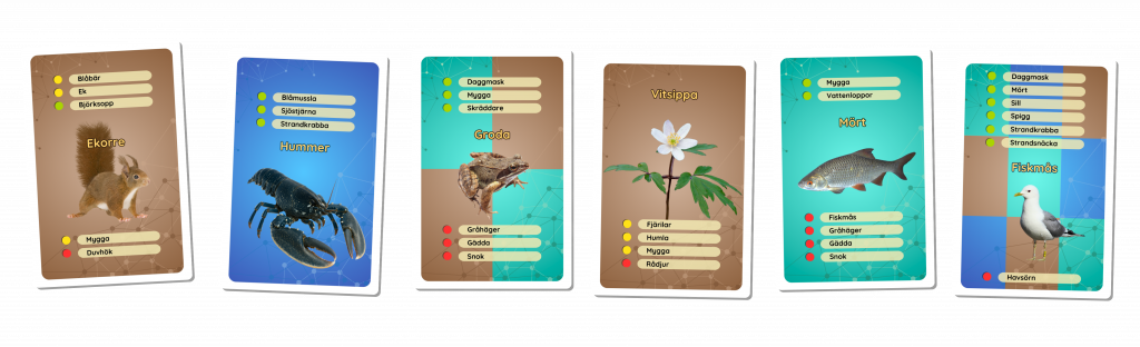 Ett urval av kort från kortspelet Ekosystemkoll om samspelet mellan arter i naturen och näringskedjor.