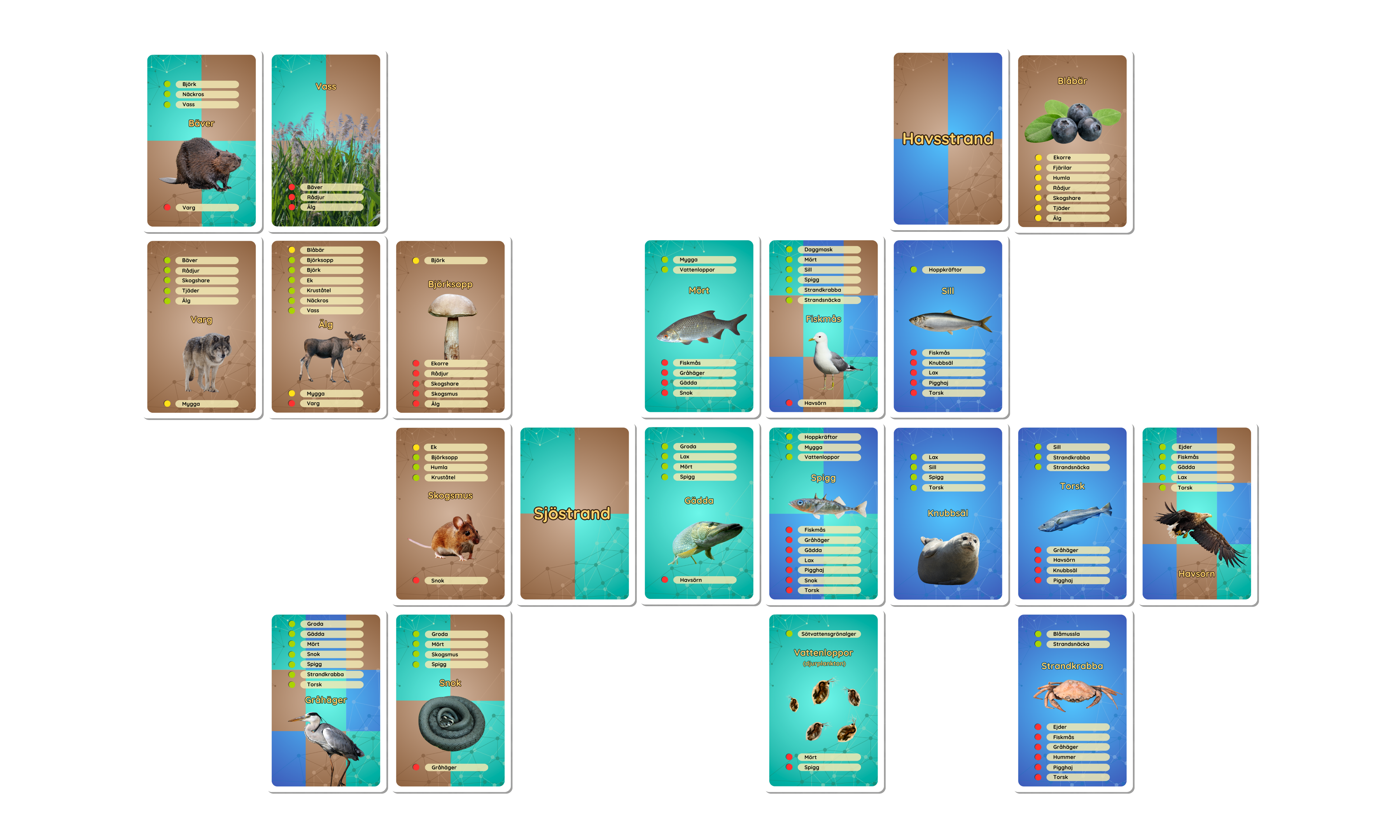 Ekosystemkoll spelupplägg